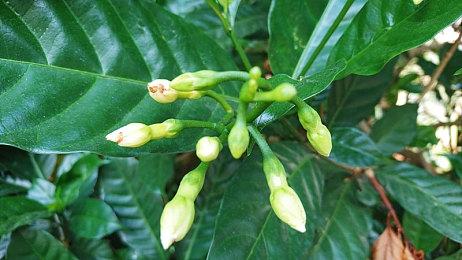 《看门狗：军团》联动《刺客信条》新角色预告